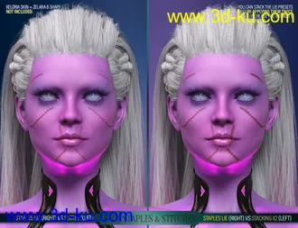3D打印模型HD Face Staples and Stitches for Genesis 8 Females的图片
