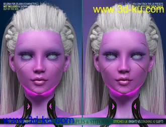 3D打印模型HD Face Staples and Stitches for Genesis 8 Females的图片