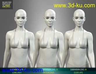 3D打印模型HD Gunshot Wounds for Genesis 8 and 8.1 Females的图片