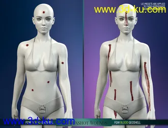 HD Gunshot Wounds for Genesis 8 and 8.1 Females模型的图片5