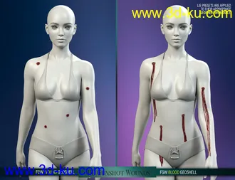 3D打印模型HD Gunshot Wounds for Genesis 8 and 8.1 Females的图片