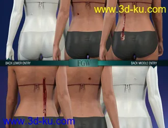 3D打印模型HD Gunshot Wounds for Genesis 8 and 8.1 Females的图片