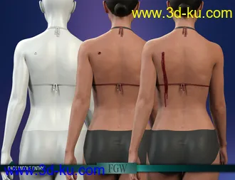 HD Gunshot Wounds for Genesis 8 and 8.1 Females模型的图片10