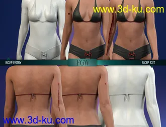 3D打印模型HD Gunshot Wounds for Genesis 8 and 8.1 Females的图片