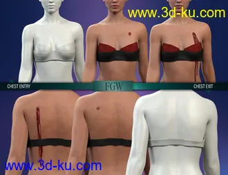 3D打印模型HD Gunshot Wounds for Genesis 8 and 8.1 Females的图片