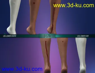 3D打印模型HD Gunshot Wounds for Genesis 8 and 8.1 Females的图片