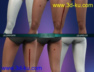 HD Gunshot Wounds for Genesis 8 and 8.1 Females模型的图片17