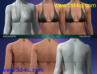 3D打印模型HD Gunshot Wounds for Genesis 8 and 8.1 Females的图片