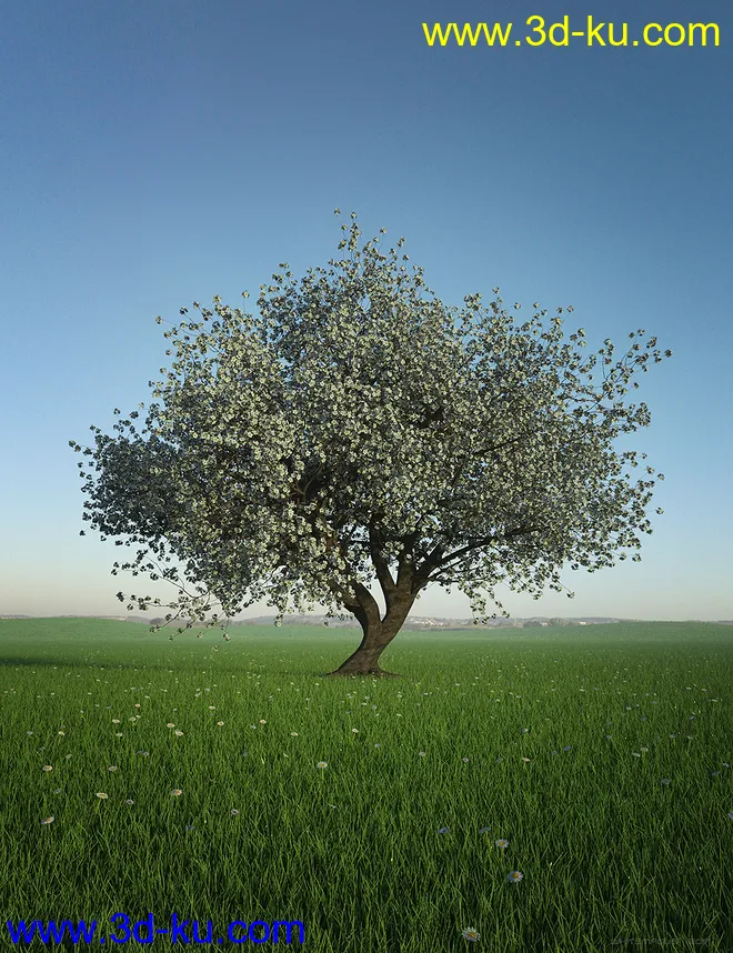 HDRI Dawn Clean Skies模型的图片1