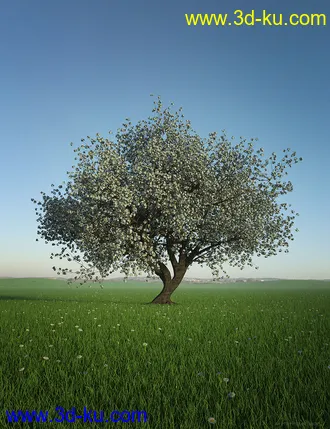 3D打印模型HDRI Dawn Clean Skies的图片