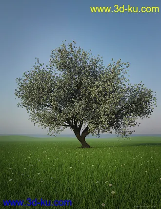 3D打印模型HDRI Dawn Clean Skies的图片
