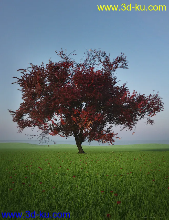 HDRI Dawn Clean Skies模型的图片3
