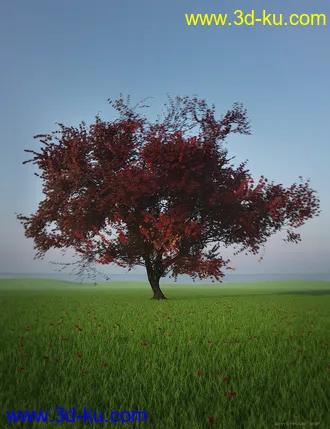3D打印模型HDRI Dawn Clean Skies的图片