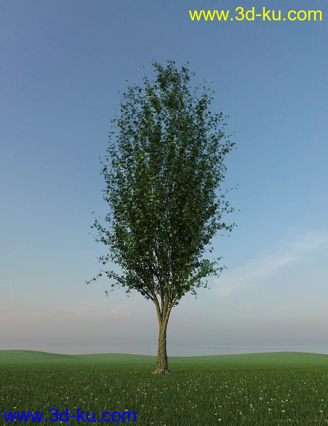 HDRI Dawn Clean Skies模型的图片4