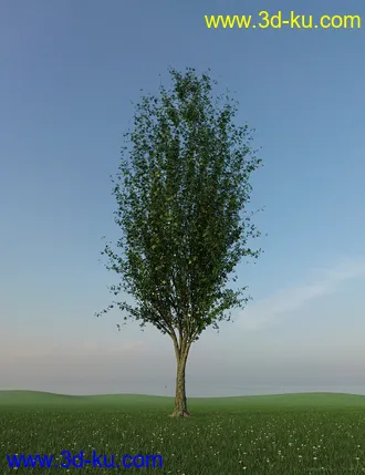3D打印模型HDRI Dawn Clean Skies的图片