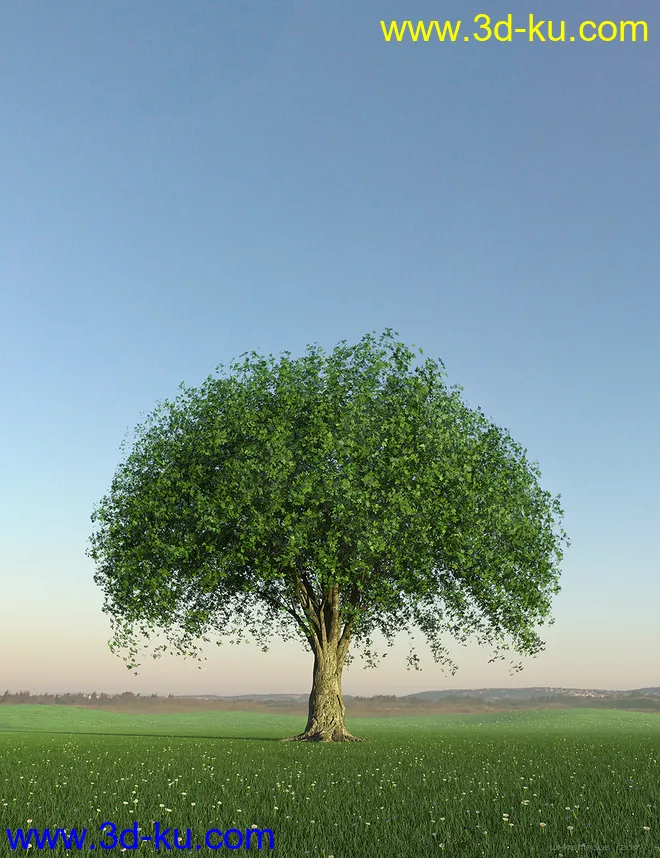 HDRI Dawn Clean Skies模型的图片16