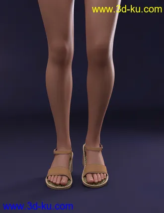 3D打印模型Heeled Cork Sandals for Genesis 8 Female(s)的图片