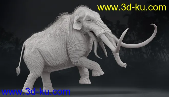 HH Colossadon模型的图片4