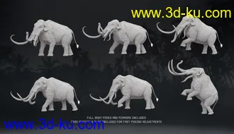 3D打印模型HH Colossadon的图片