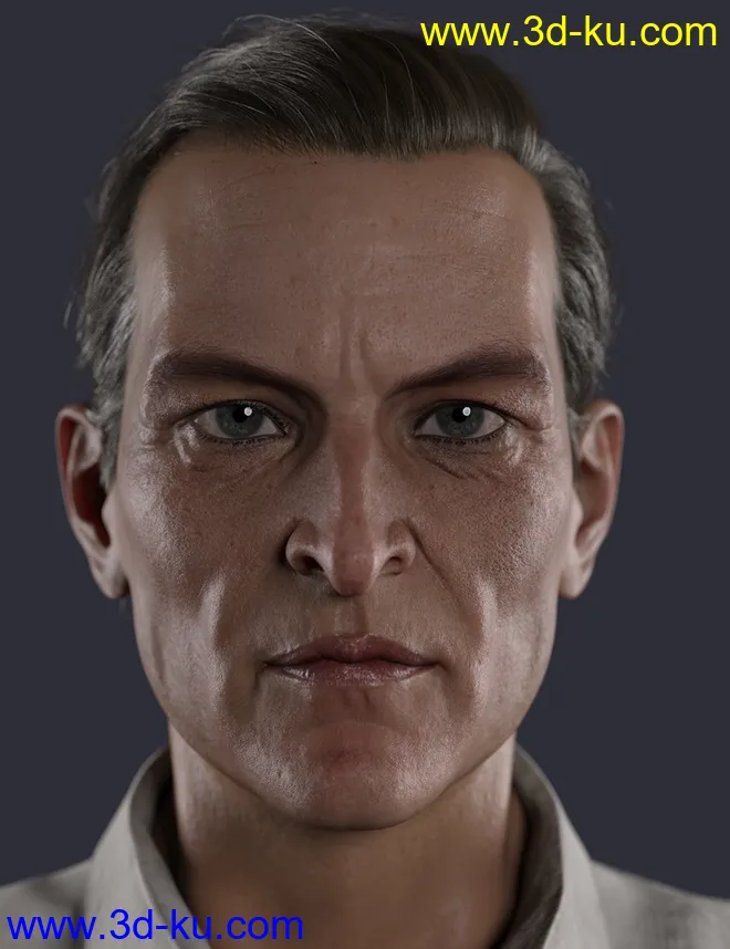 Holm HD for Genesis 8.1 Male模型的图片1