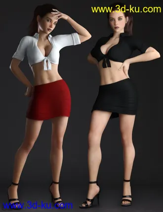 3D打印模型Home Office Outfit for Genesis 8 Females的图片