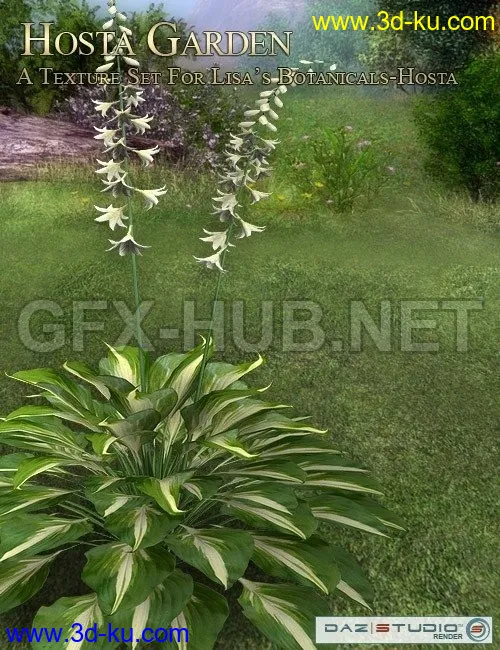 Hosta Garden模型的图片1