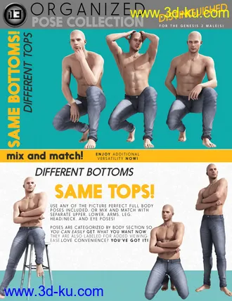 3D打印模型i13 DISTINGUISHED Pose Collection的图片