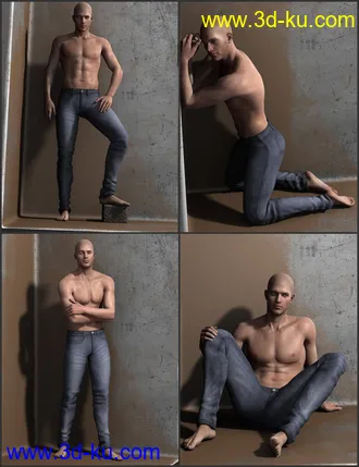 3D打印模型i13 DISTINGUISHED Pose Collection的图片