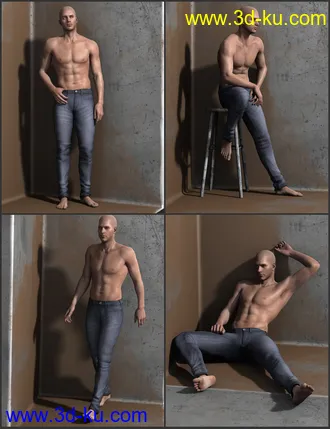 3D打印模型i13 DISTINGUISHED Pose Collection的图片