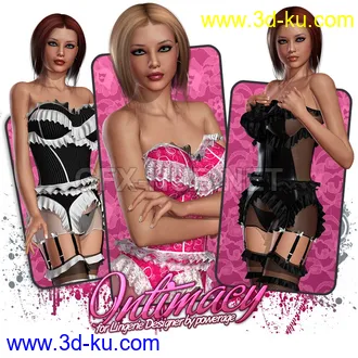 3D打印模型Intimacy for Lingerie Designer的图片