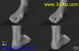 3D打印模型Jacqueline 8.1 HD Add-On的图片