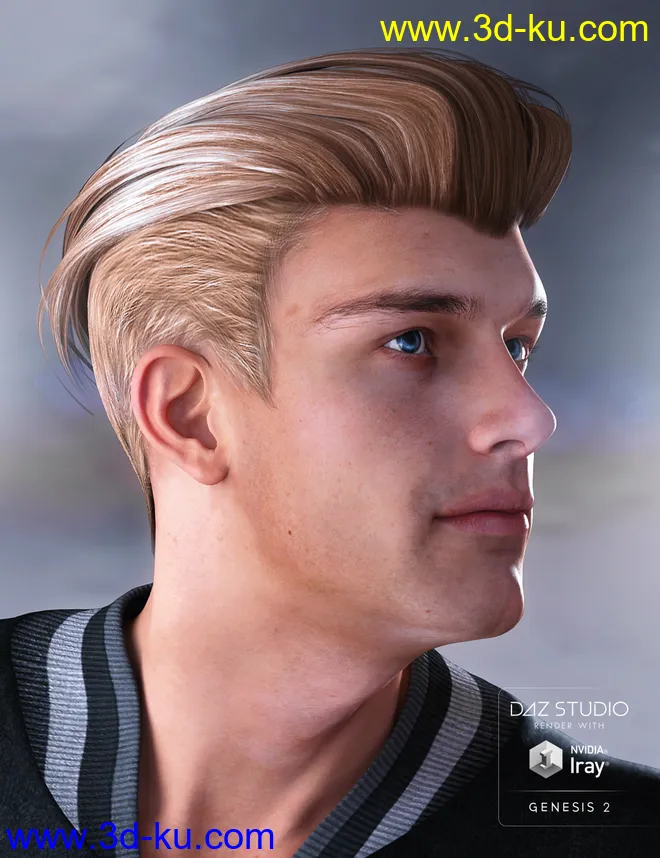 Jake Hair for Genesis 2 Male(s)模型的图片1