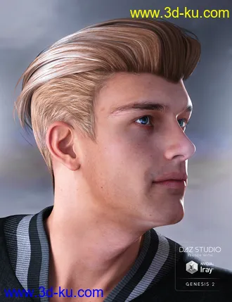 3D打印模型Jake Hair for Genesis 2 Male(s)的图片