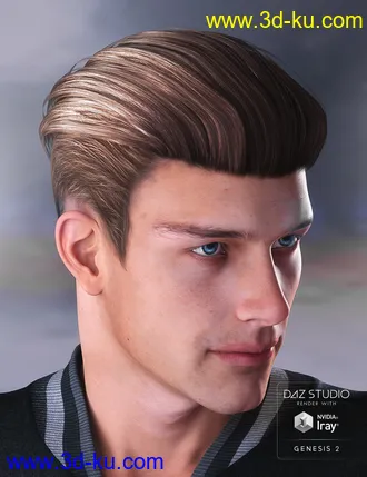 3D打印模型Jake Hair for Genesis 2 Male(s)的图片