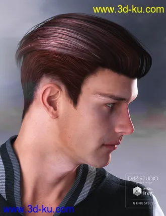 3D打印模型Jake Hair for Genesis 2 Male(s)的图片