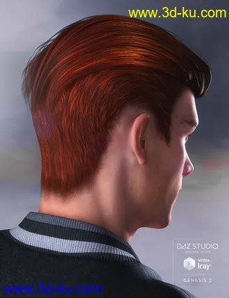 3D打印模型Jake Hair for Genesis 2 Male(s)的图片