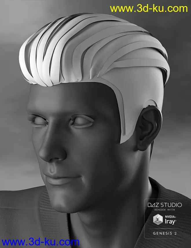 Jake Hair for Genesis 2 Male(s)模型的图片8