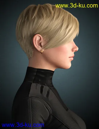 3D打印模型Janey Hair for Genesis 8 and 8.1 Female的图片