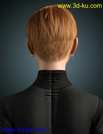 3D打印模型Janey Hair for Genesis 8 and 8.1 Female的图片