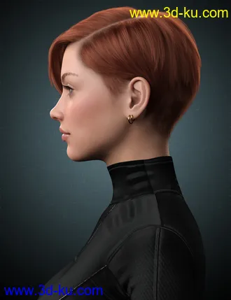 3D打印模型Janey Hair for Genesis 8 and 8.1 Female的图片