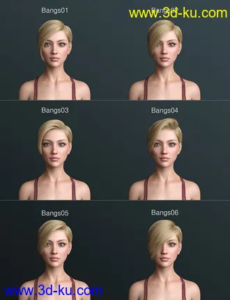 3D打印模型Janey Hair for Genesis 8 and 8.1 Female的图片