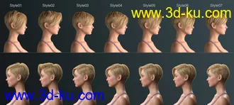 3D打印模型Janey Hair for Genesis 8 and 8.1 Female的图片