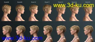 3D打印模型Janey Hair for Genesis 8 and 8.1 Female的图片