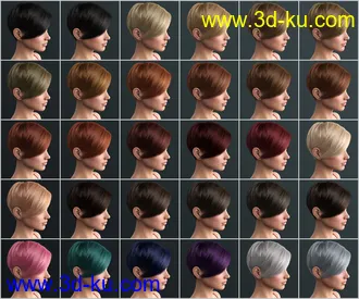 3D打印模型Janey Hair for Genesis 8 and 8.1 Female的图片