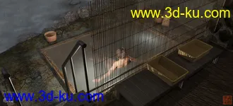 3D打印模型Japanese Onsen的图片