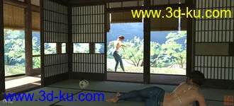 3D打印模型Japanese Onsen的图片