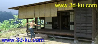 3D打印模型Japanese Onsen的图片
