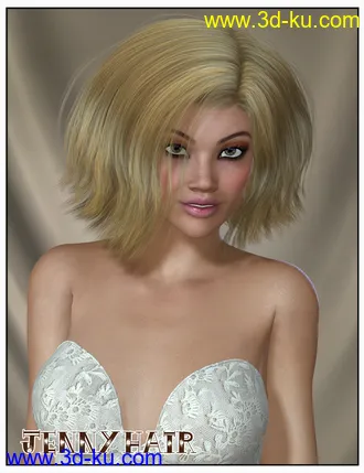 3D打印模型Jenny Hair for Genesis 2 Female(s) and Victoria 4的图片