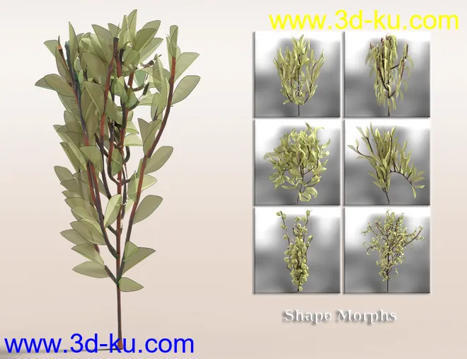Jepe's WonderPlantZ模型的图片5