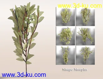 3D打印模型Jepe's WonderPlantZ的图片